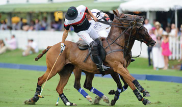 Horse Times Egypt: Equestrian Magazine :Articles :110TH MASERATI U.S. OPEN POLO CHAMPIONSHIP A STUNNING WIN BY MANNIX’S ALEGRIA