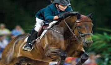 Horse Times Egypt: Equestrian Magazine :Articles :Profile on 2008 Olympics Show Jumping Top 10 Individuals
