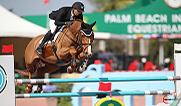 Horse Times Egypt: Equestrian Magazine :Articles :60 SECONDS WITH JAD EL-DANA

