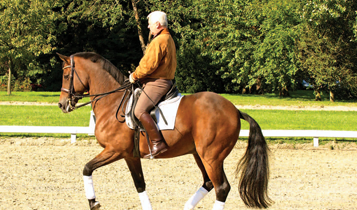 Horse Times Egypt: Equestrian Magazine :Articles :60 Seconds With Ulli Kasselmann