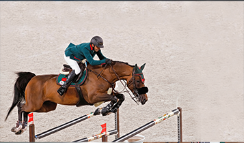 Horse Times Egypt: Equestrian Magazine :Articles :ALI AL AHRACH SHOWJUMPING PHILOSOPHY PATIENCE & PARTNERSHIP IS THE WAY