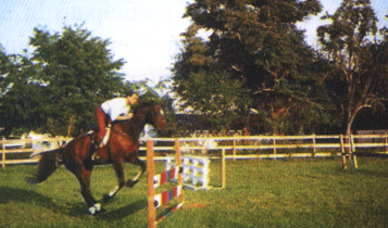 Horse Times Egypt: Equestrian Magazine :Articles :A Moonlight View