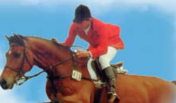 Horse Times Egypt: Equestrian Magazine :Articles :An Egyptian Dream: a complete profile on Andre Sakakini