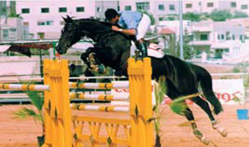 Horse Times Egypt: Equestrian Magazine :Articles :Sakakini joins the Egyptian Show Jumping Team in the Pan Arab Games in Jordan