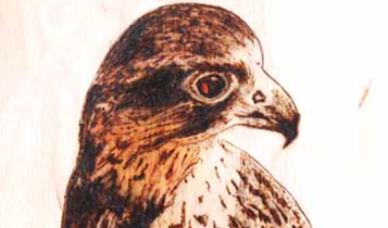 Horse Times Egypt: Equestrian Magazine :Articles :Art Siham Moharram