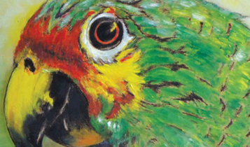 Horse Times Egypt: Equestrian Magazine :Articles :ART SIHAM MOHARRAM