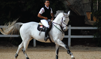 Horse Times Egypt: Equestrian Magazine :Articles :Ferosia Club Annual Show Jumping Event 2009