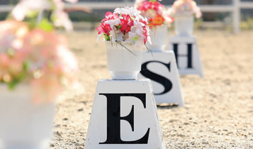 Horse Times Egypt: Equestrian Magazine :Articles :How To Be A Trainer Part 11 Dressage For Jumping Part 1