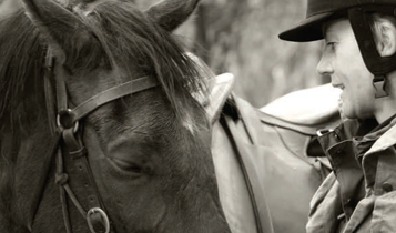 Horse Times Egypt: Equestrian Magazine :Articles :How To Be A Trainer Part 9