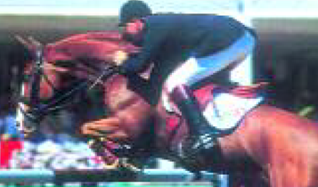 Horse Times Egypt: Equestrian Magazine :Articles :International News