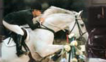 Horse Times Egypt: Equestrian Magazine :Articles :Jumping Tips by Paul Darragh