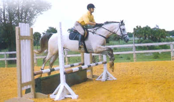 Horse Times Egypt: Equestrian Magazine :Articles :Jumping a Novice Grid