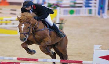 Horse Times Egypt: Equestrian Magazine :Articles :Mcdonald's Sponsorship at the 2008 Beijing Olympics