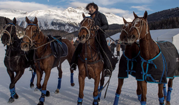 Horse Times Egypt: Equestrian Magazine :Articles :IT’S ALWAYS POLO SEASON SOMEWHERE.

