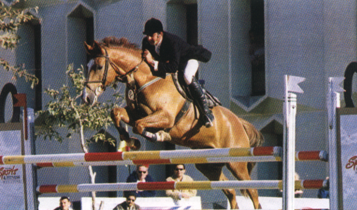 Horse Times Egypt: Equestrian Magazine :Articles :Review on Movenpick