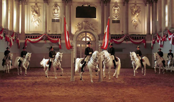 Horse Times Egypt: Equestrian Magazine :Articles :THE ART OF CLASSICAL DRESSAGE RIDING THE TRAINING SCALE (PART 1)