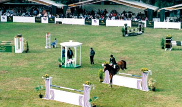 Horse Times Egypt: Equestrian Magazine :Articles :Club 55 Challenge