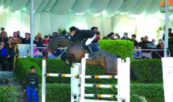 Horse Times Egypt: Equestrian Magazine :Articles :The Ferousia Annual Show Jumping Event 2005