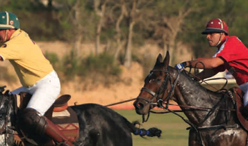 Horse Times Egypt: Equestrian Magazine :Articles :US Polo Assiociation Annual Polo Cup 