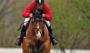 Horse Times Egypt: Equestrian Magazine :Articles :View On The Toscana Tour