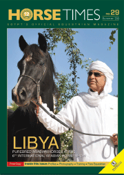Horse Times Egypt: Equestrian Magazine :Issues :Issue No. 29