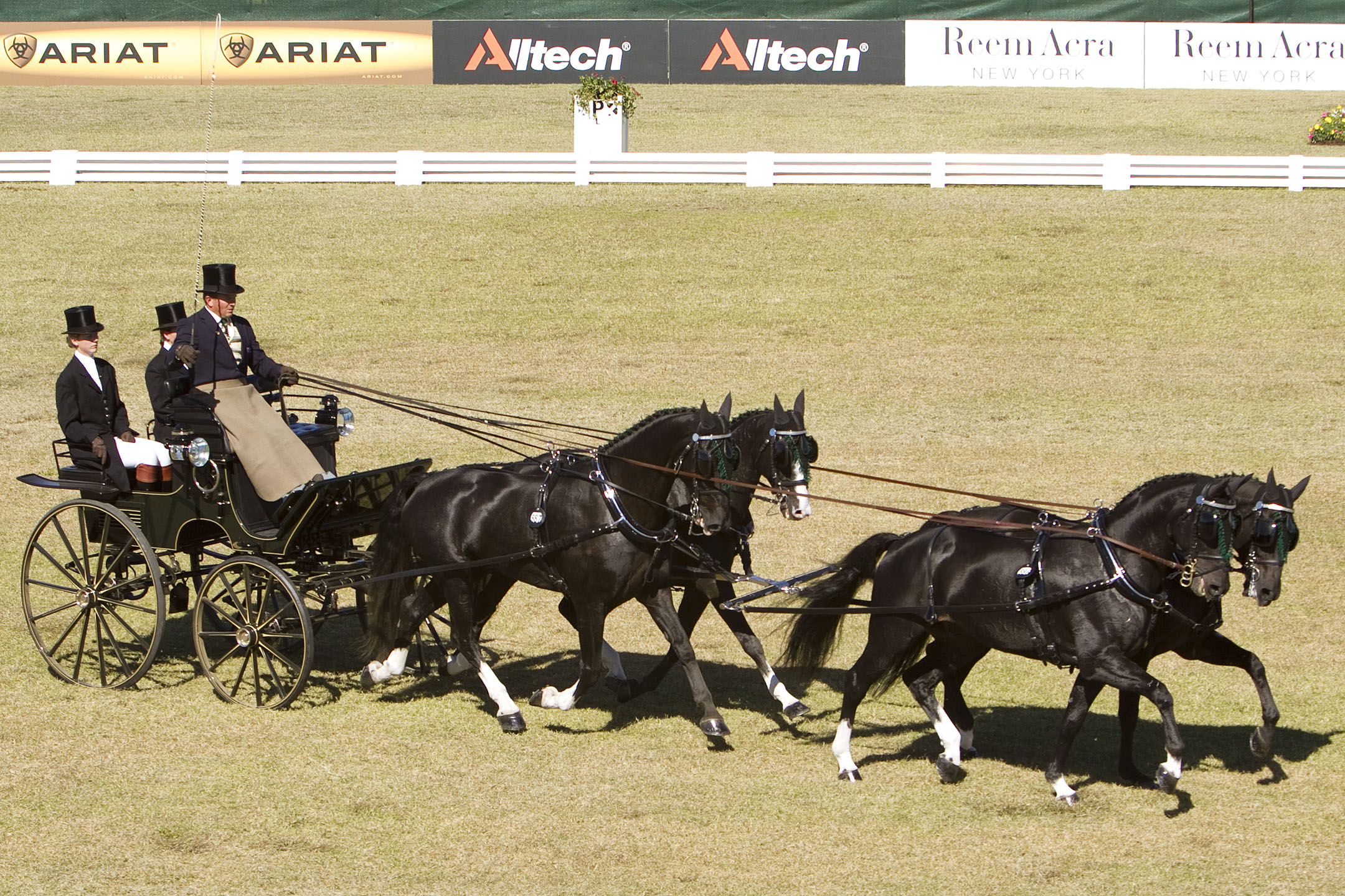Horse Times Egypt: Equestrian Magazine :News :DRIVING - 46 DRIVERS READY TO GO DURING THE ALLTECH FEI WORLD EQUESTRIAN GAMES 2014 IN NORMANDY