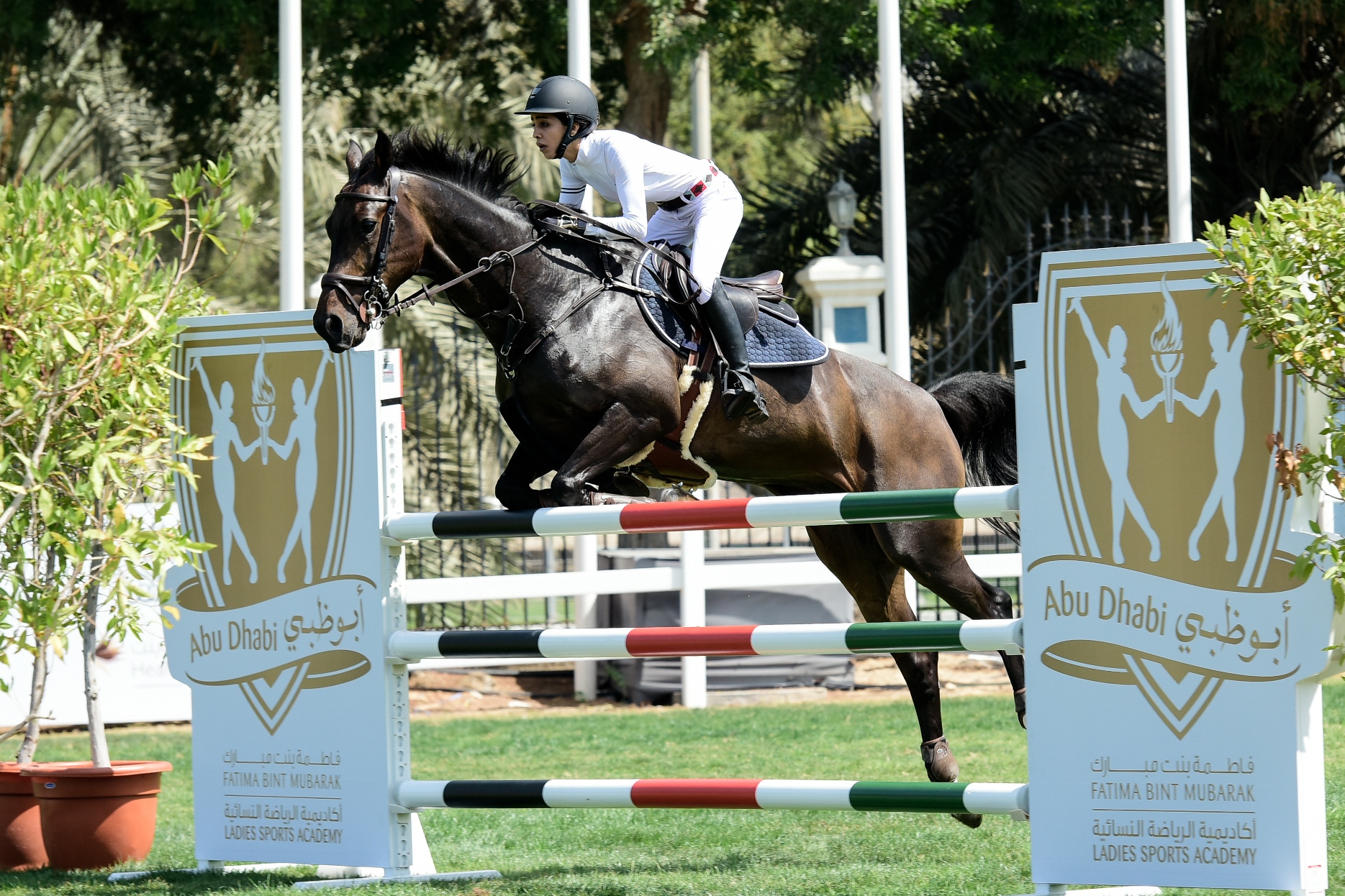 TROT DOWN TO THE BRAND NEW EQUESTRIAN VILLAGE AT FBMA’S ... TROT DOWN TO THE BRAND NEW EQUESTRIAN VILLAGE AT FBMA’S ... - 1869 x 1246 jpeg 1296kB
