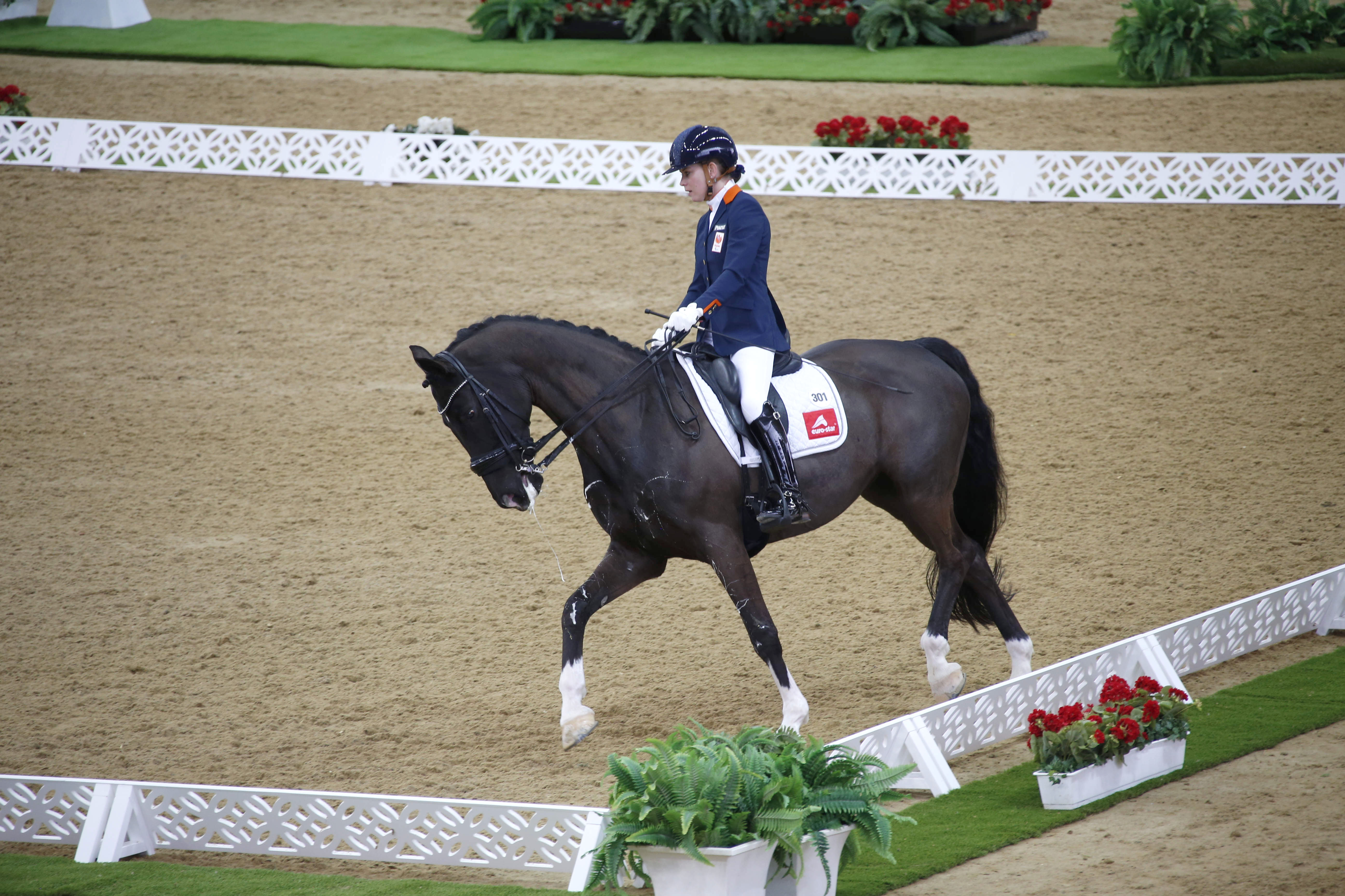 Horse Times Egypt: Equestrian Magazine :News :CHI AL SHAQAB FRIDAY 3RD MARCH – CPEDI 3 STAR INDIVIDUAL CHAMPIONSHIP TEST