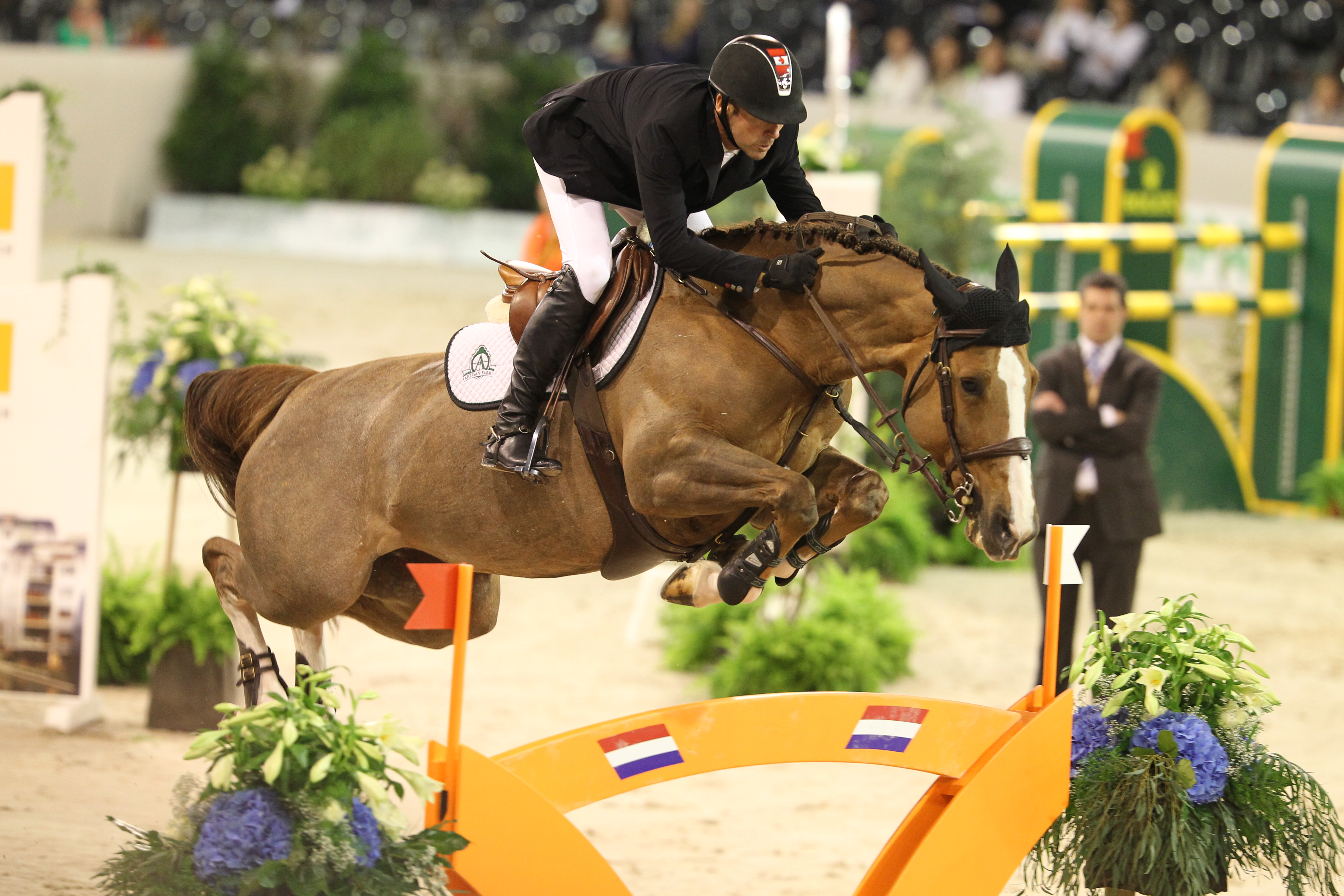 Horse Times Egypt: Equestrian Magazine :News :THE AUCTION ACT 1, THE EMBRYO COLLECTION ON FEBRUARY 15TH 2019, DEAUVILLE