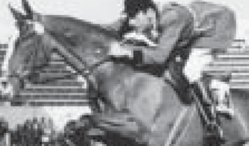 Horse Times Egypt: Equestrian Magazine :Articles :One Hundred Years of Show Jumping: a photo gallery of the most celebrated show jumpers nationally and internationally