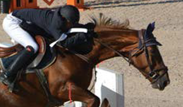 Horse Times Egypt: Equestrian Magazine :Articles :AN EXCEPTIONAL YEAR:  HOME OF THE 2015 ALGERIAN TOUR