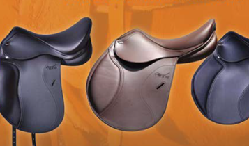 Horse Times Egypt: Equestrian Magazine :Articles :ART SIHAM MOHARRAM