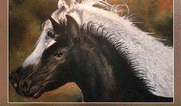 Horse Times Egypt: Equestrian Magazine :Articles :ART, SIHAM MOHARRAM