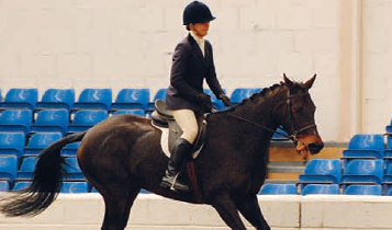 Horse Times Egypt: Equestrian Magazine :Articles :A Bit Of A Perdicament