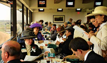 Horse Times Egypt: Equestrian Magazine :Articles :A HORSEMAN’S BLUEGRASS PARADISE LEXINGTON, KENTUCKY