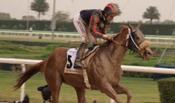 Horse Times Egypt: Equestrian Magazine :Articles :A JEWEL ON THE THRONE OF HORSE RACING - THE WORLD’S RICHEST RACE DAY: DUBAI WORLD CUP 2017