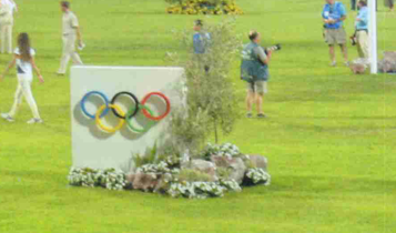 Horse Times Egypt: Equestrian Magazine :Articles :Sinan Nashashibi, a Jordanian Idol