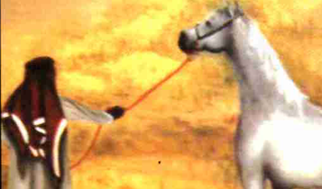 Horse Times Egypt: Equestrian Magazine :Articles :A Touch of Paint