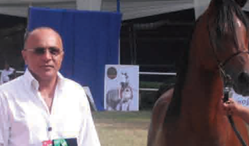 Horse Times Egypt: Equestrian Magazine :Articles :Al Zahraa 2010 With Moustafa El Masry