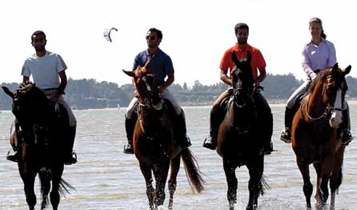 Horse Times Egypt: Equestrian Magazine :Articles :Alice Debany Clero In Wonderland