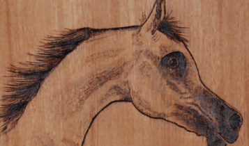 Horse Times Egypt: Equestrian Magazine :Articles :Arabian Beauty Siham Moharram