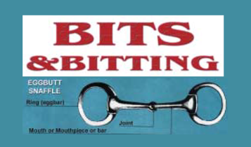 Horse Times Egypt: Equestrian Magazine :Articles :Bits & Bitting