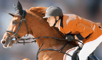 Horse Times Egypt: Equestrian Magazine :Articles :CONFIDENCE SERIES BY JOHN HAIME