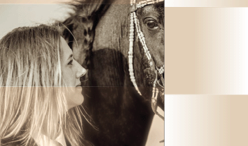 Horse Times Egypt: Equestrian Magazine :Articles :CONNECT LIFE COACHING UTILIZING HORSES