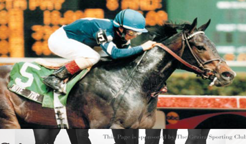 Horse Times Egypt: Equestrian Magazine :Articles :Cairo Horse Racing Season Came to an End - 2000