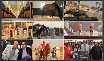 Horse Times Egypt: Equestrian Magazine :Articles :DREAMLAND EQUESTRIAN CENTER:  THE OPENING OF A GRAND ESTATE