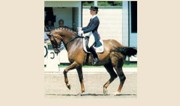 Horse Times Egypt: Equestrian Magazine :Articles :Dressage, Object and General Principles