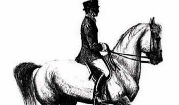 Horse Times Egypt: Equestrian Magazine :Articles :Dressage: Turn on the Forehand