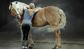 Horse Times Egypt: Equestrian Magazine :Articles :EQUINE SUPPORT INTERNATIONAL BE AS GOOD AS A DUTCH OLYMPIC RIDER (PART 2)