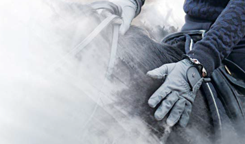 Horse Times Egypt: Equestrian Magazine :Articles :EQUINE SUPPORT INTERNATIONAL -EVERYTHING YOU NEED TO KNOW ABOUT STRAIGHTENING TRAINING
